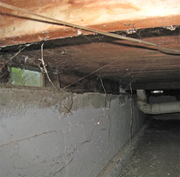 Crawlspace Water Removal in a Fort Collins home