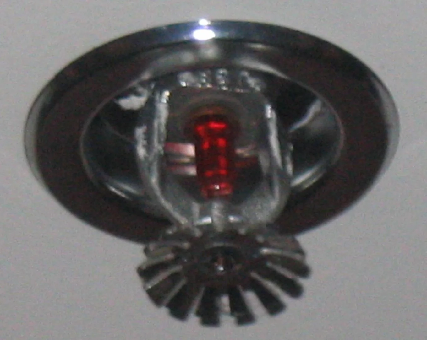 Fire Sprinkler Discharge Damage in a Fort Collins home